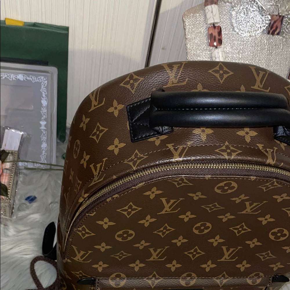 Louis Vuitton Brown Palm Spring Backpack - Picture 7 of 15